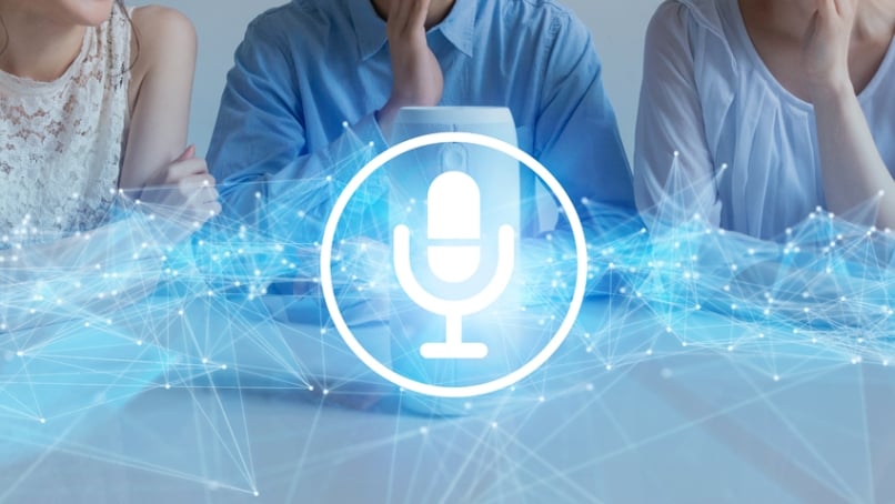 Entry Level Voice & Vision AI System